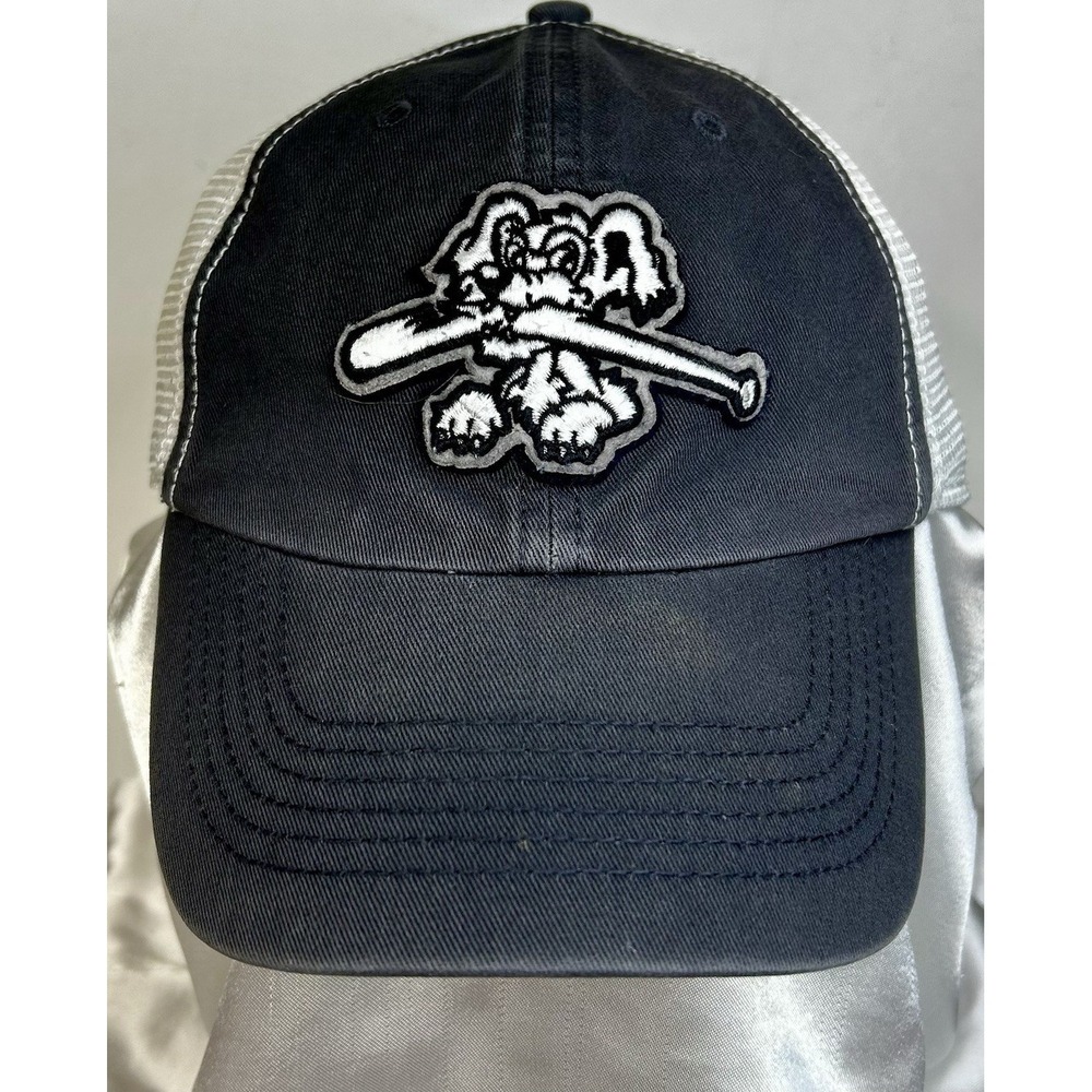 Vintage CHARLESTON RIVER DOGS Tampa Bay Rays Baseball Hat Minor League M-L mesh